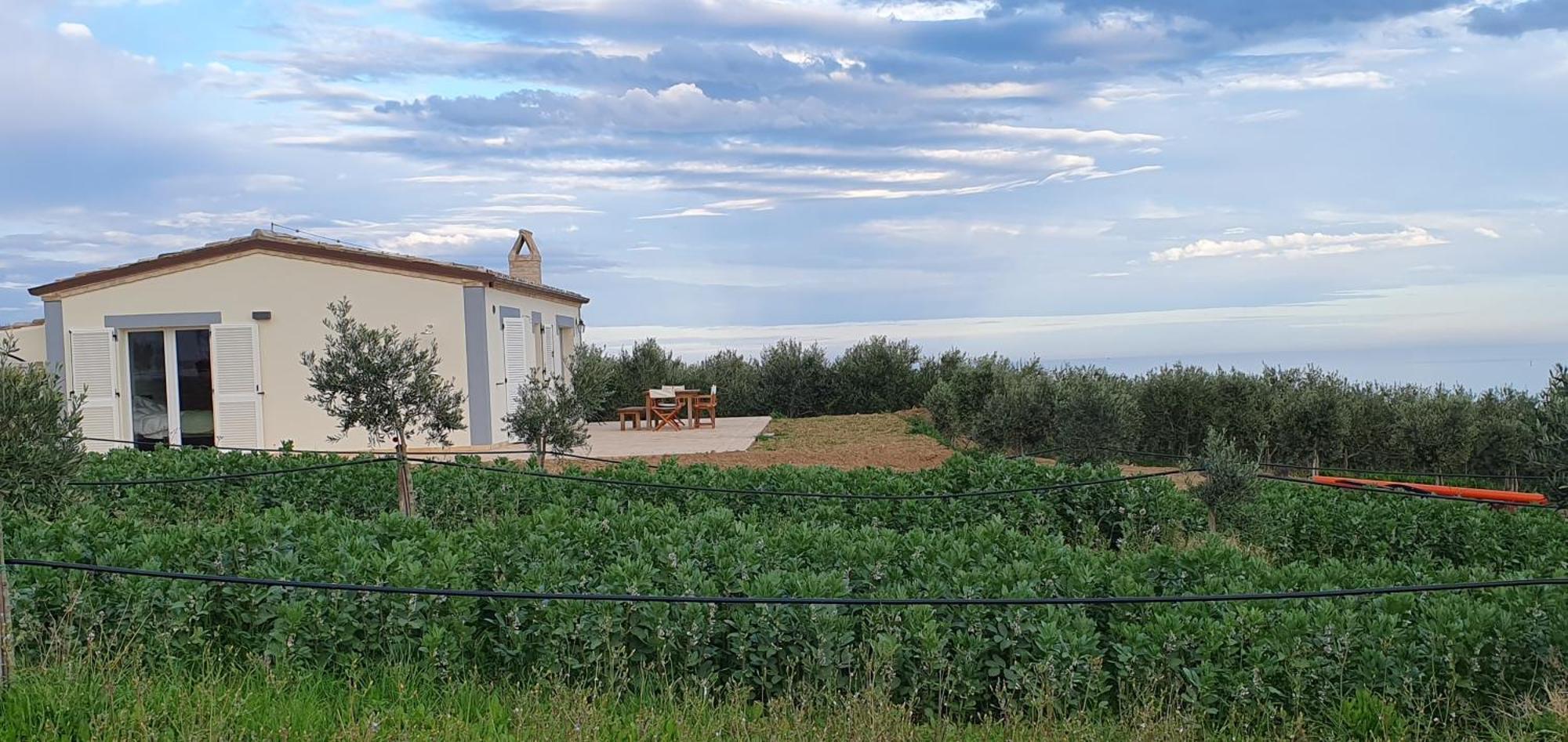 Agriturismo Mondomini Campofilone Exterior photo